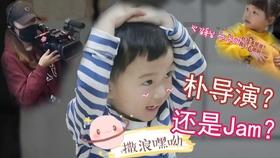 泰拉瑞亚